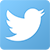 Twitter Logo and Link